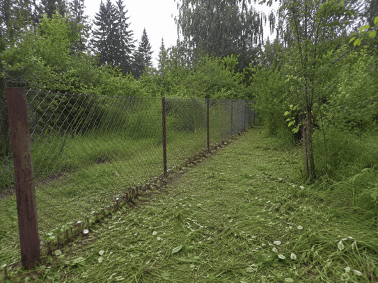Очищенный проход вдоль забора