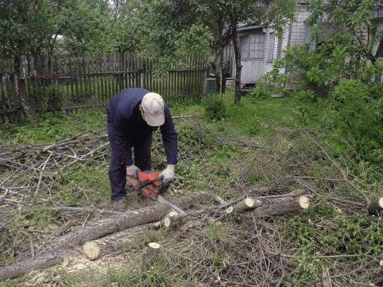 Распил дерева бензопилой на участке